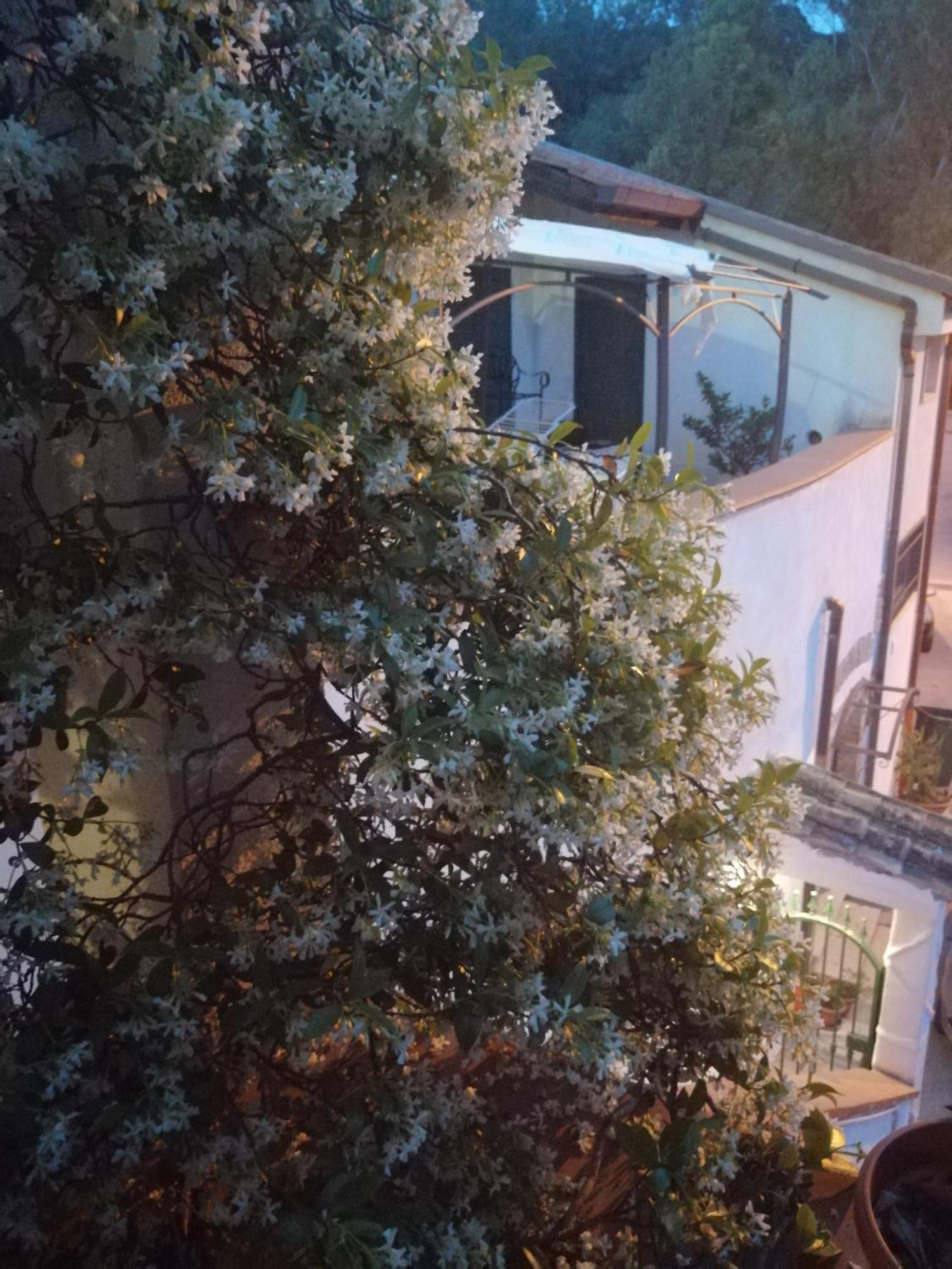B&B Moscani Salerno Eksteriør billede
